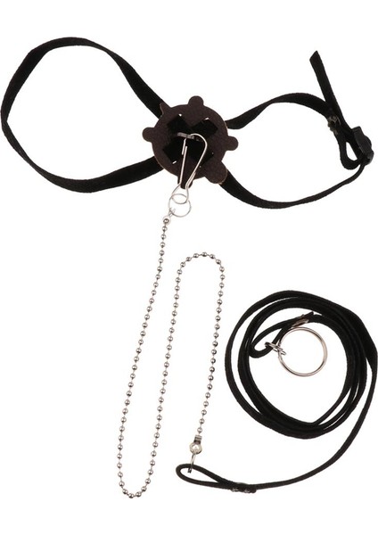 Emniyet Kayışı Yürüyüşı (Yurt Dışından)