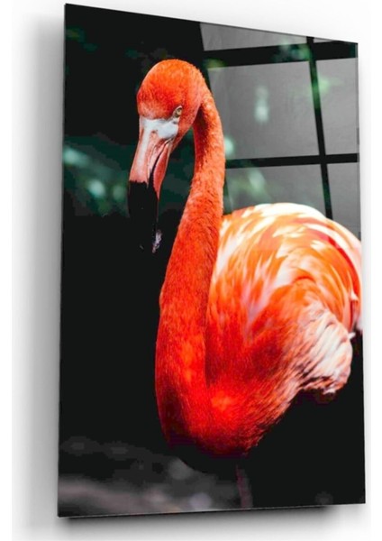 Flamingo Cam Tablo