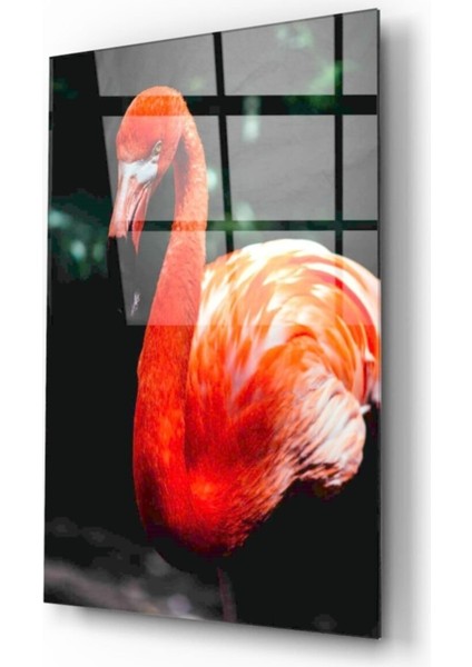 Flamingo Cam Tablo
