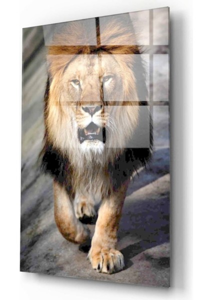Aslan Cam Tablo