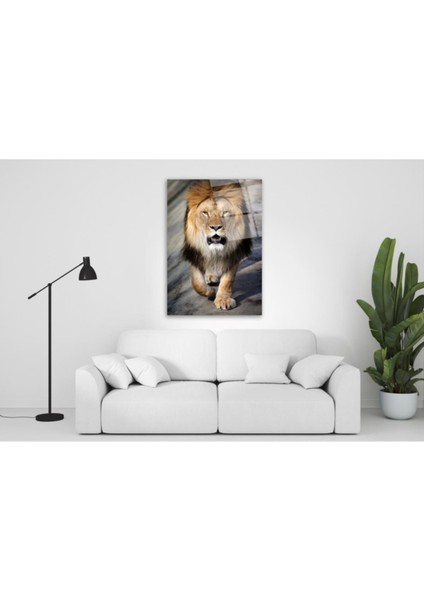 Aslan Cam Tablo