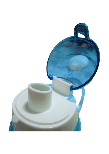 161546-160 Su Şişesi - Motivasyon Su Matarası - Plastik Renkli Suluk Mavi 1lt indirimleri