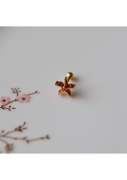 Deniz Yıldızı Helix Piercing Kıkırdak Cerrahi Çelik Gold Renk modelleri