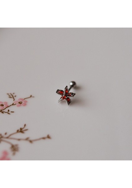 Deniz Yıldızı Helix Piercing Kıkırdak Cerrahi Çelik Gümüş Renk fiyatları