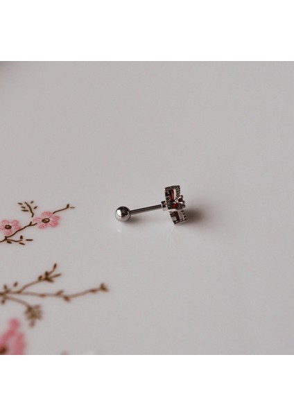 Deniz Yıldızı Helix Piercing Kıkırdak Cerrahi Çelik Gümüş Renk modelleri