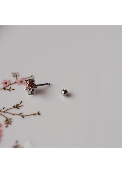 Deniz Yıldızı Helix Piercing Kıkırdak Cerrahi Çelik Gümüş Renk fırsatları