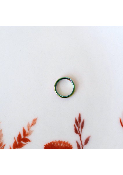 6 mm Hologram Cerrahi Çelik Düz Halka Tragus Piercing Helix Kıkırdak Rook Daith modelleri