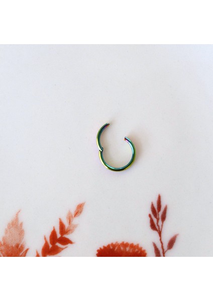 6 mm Hologram Cerrahi Çelik Düz Halka Tragus Piercing Helix Kıkırdak Rook Daith fırsatları