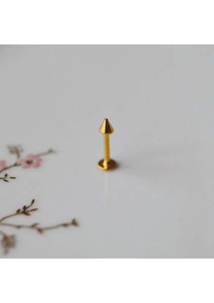 Cerrahi Çelik Sivri Uçlu Tragus Piercing Helix Kıkırdak 8 mm Gold Renk fiyatları