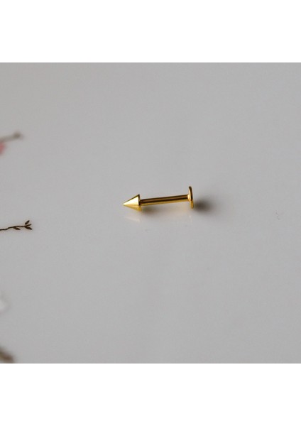 Cerrahi Çelik Sivri Uçlu Tragus Piercing Helix Kıkırdak 8 mm Gold Renk modelleri