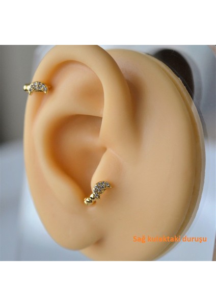 Gold Renk Cerrahi Çelik Ay Modelli Halka Tragus Piercing Helix Lob Kıkırdak