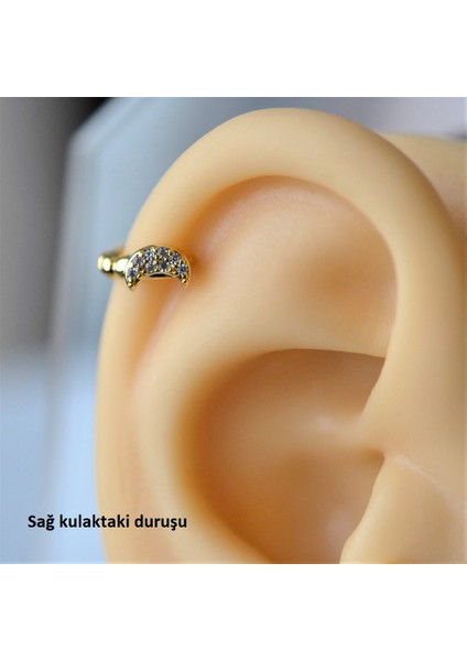 Gold Renk Cerrahi Çelik Ay Modelli Halka Tragus Piercing Helix Lob Kıkırdak