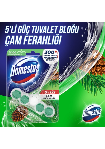 Wc Blok 5'li Güç Tuvalet Bloğu Çam Ferahlığı Maksimum Hijyen 50 G fırsatları
