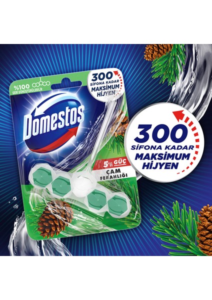 Wc Blok 5'li Güç Tuvalet Bloğu Çam Ferahlığı Maksimum Hijyen 50 G