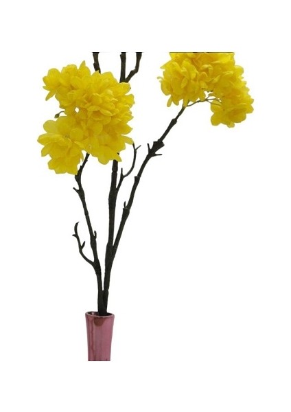 Dallı Sarı Kırçiçeği HANGHUI-004