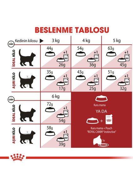 Fit 32 Kedi Maması - 4 kg