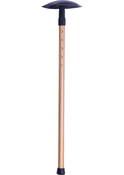 Golf Çubuğu Ayarlanabilir Golf Direği Çubuğu Altın (Yurt Dışından) fiyatları