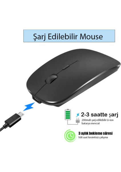 Blue İnter LE101 Bluetooth & Wireless Şarj Edilebilir Kablosuz Mouse - Siyah