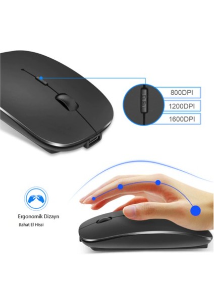 Blue İnter LE101 Bluetooth & Wireless Şarj Edilebilir Kablosuz Mouse - Siyah