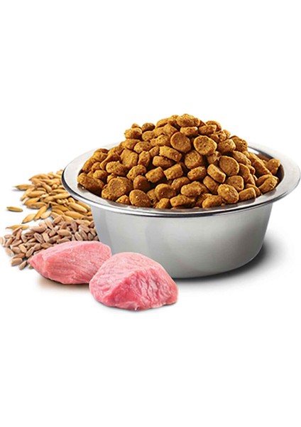 Ancestral Grain Kuzu Etli ve Yaban Mersinli Küçük Irk Tahıllı Yavru Köpek Maması 2.5 kg