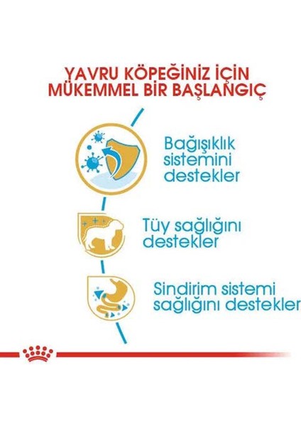 Poodle Adult Yetişkin Köpek Maması 3 kg fırsatları