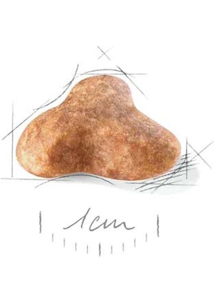 Royal Canin Pug Adult Köpek Maması 1.5 kg indirimleri