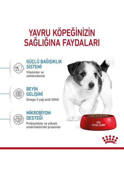 Mini Puppy Yavru Köpek Maması 2 kg