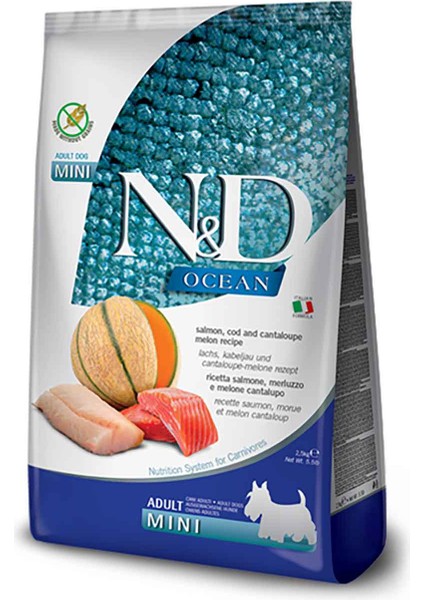 Ocean Somon, Morina Balıklı ve Kavunlu Küçük Irk Tahılsız Yetişkin Köpek Maması 2.5 kg