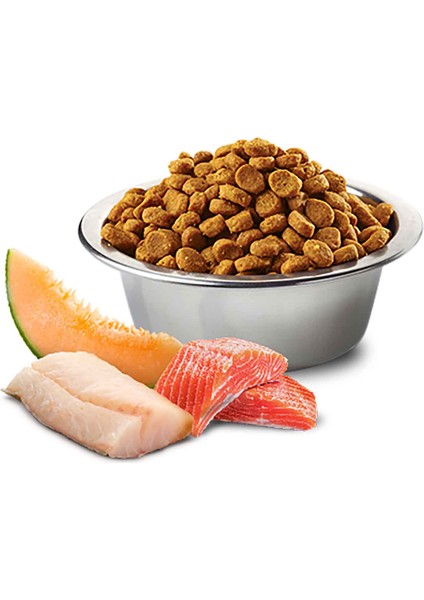 Ocean Somon, Morina Balıklı ve Kavunlu Küçük Irk Tahılsız Yetişkin Köpek Maması 2.5 kg fiyatları