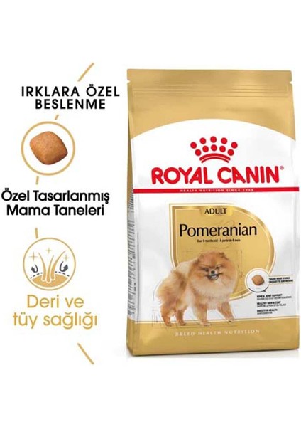 Pomeranian Adult Yetişkin Köpek Maması 1.5 kg