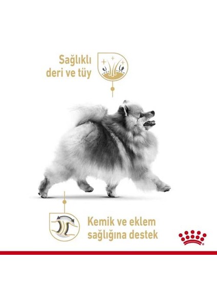 Pomeranian Adult Yetişkin Köpek Maması 1.5 kg modelleri