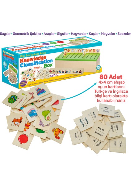 Circle Toys Ahşap Bilgi Sınıflandırma Kutusu Eğitici Mazgallı Oyuncak 88 Parça Knowledge Classification Box