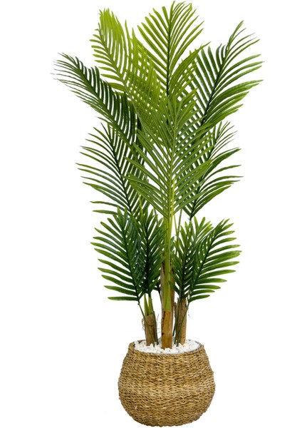 Areka Palmiyesi 130CM Geoit Hasır Saksıda