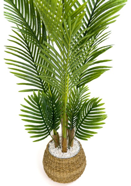 Areka Palmiyesi 130CM Geoit Hasır Saksıda