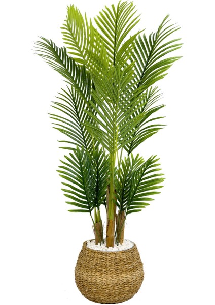 Areka Palmiyesi 130CM Geoit Hasır Saksıda