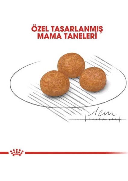 Xsmall Adult Yetişkin Köpek Maması 3 kg indirimleri