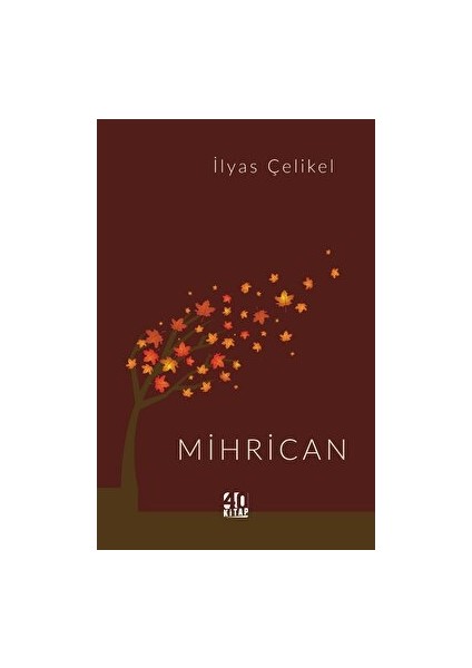 Mihrican - İlyas Çelikel