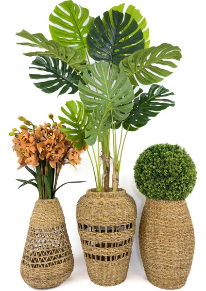 Luxury Üçlü Set Monstera Orkide ve Şimşir Bitkisi