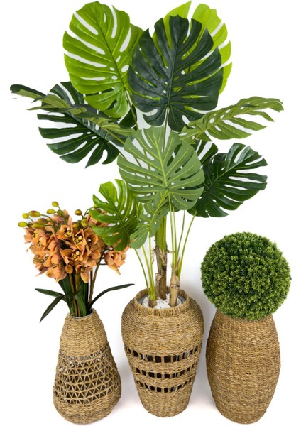 Luxury Üçlü Set Monstera Orkide ve Şimşir Bitkisi