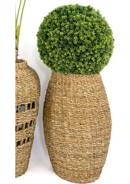 Luxury Üçlü Set Monstera Orkide ve Şimşir Bitkisi