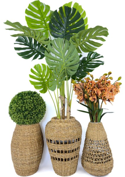 Luxury Üçlü Set Monstera Orkide ve Şimşir Bitkisi
