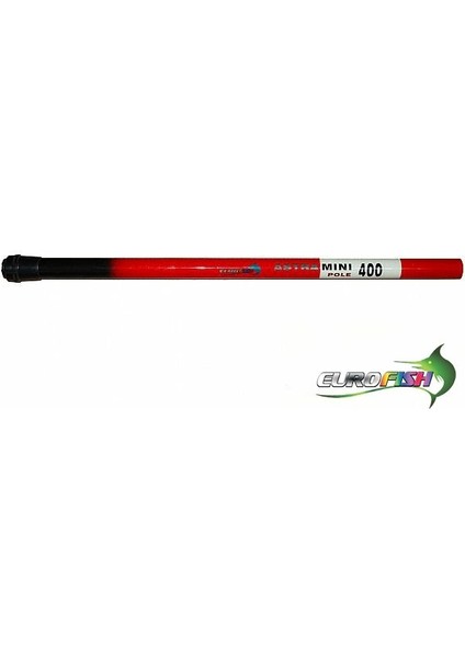 Göl Kamışı Mini Halkasız Eurofish Marka 4 Metre modelleri