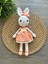 Zeynphobidunyam Amigurumi Tavşan Seti 2