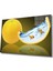 Limon ve Balık Limon And Fish Futuristic 1