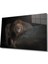 Aslan Cam Tablo 1
