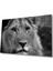 Aslan Cam Tablo 1