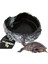 Sürüngen Kaseşık Sakallı Gecko Besleyici (Yurt Dışından) 3