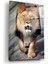 Aslan Cam Tablo 1