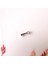 Tektaş Çelik Piercing Tragus Helix Kıkırdak Conch Gümüş Renk 8 mm 3