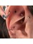 8 mm Cerrahi Çelik Gümüş Renkli Iki Ucu Top Piercing Tragus Helix Conch Lob Daith 4